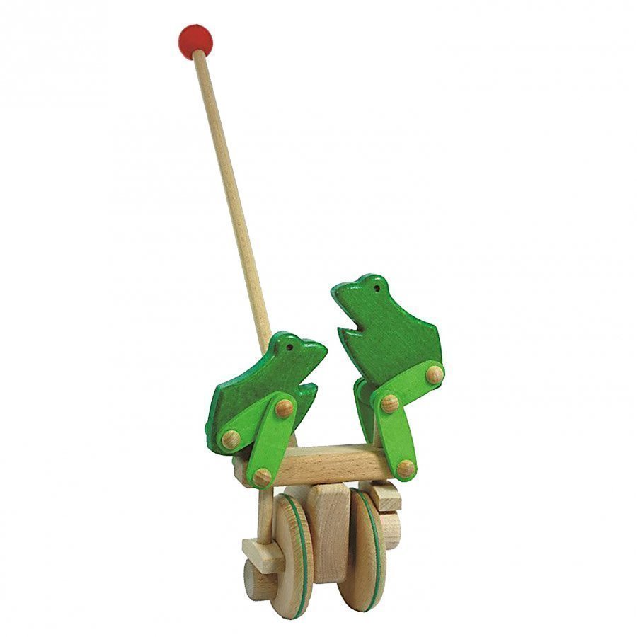 Bajo Frog Push Toy Vetolelu