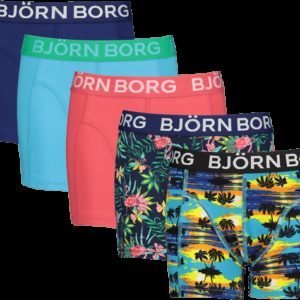 Björn Borg Sunset Mini & Exotic Sammy Bokserit