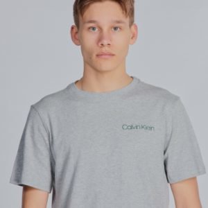 Calvin Klein 2pk Tees T-Paita Harmaa