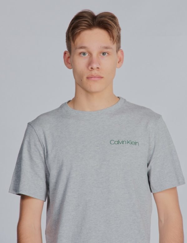 Calvin Klein 2pk Tees T-Paita Harmaa