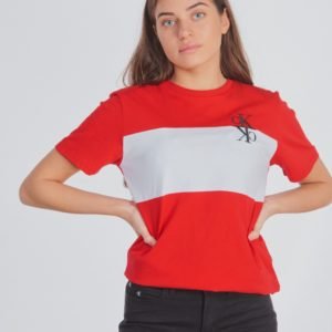 Calvin Klein Colour Block Monogram T Shirt T-Paita Punainen