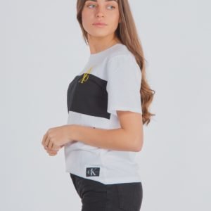 Calvin Klein Colour Block Monogram T Shirt T-Paita Valkoinen