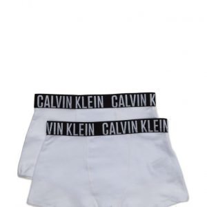 Calvin Klein Kids 2pk Trunk