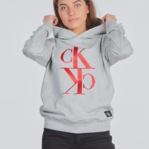 Calvin Klein Mirror Monogram Hoodie Huppari Harmaa