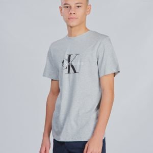 Calvin Klein Monogram Logo T Shirt T-Paita Harmaa