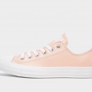 Converse All Star Ox Leather Vaaleanpunainen