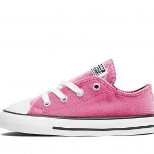 Converse All Star Ox Velvet Vaaleanpunainen