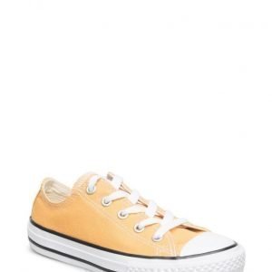 Converse All Star Seasonal