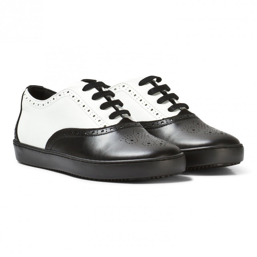 Dolce & Gabbana Black And White Brogue Trainers Lenkkarit