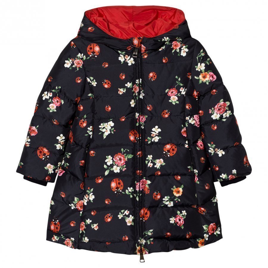 Dolce & Gabbana Navy Floral Lady Bird Print Puffer Coat Toppatakki