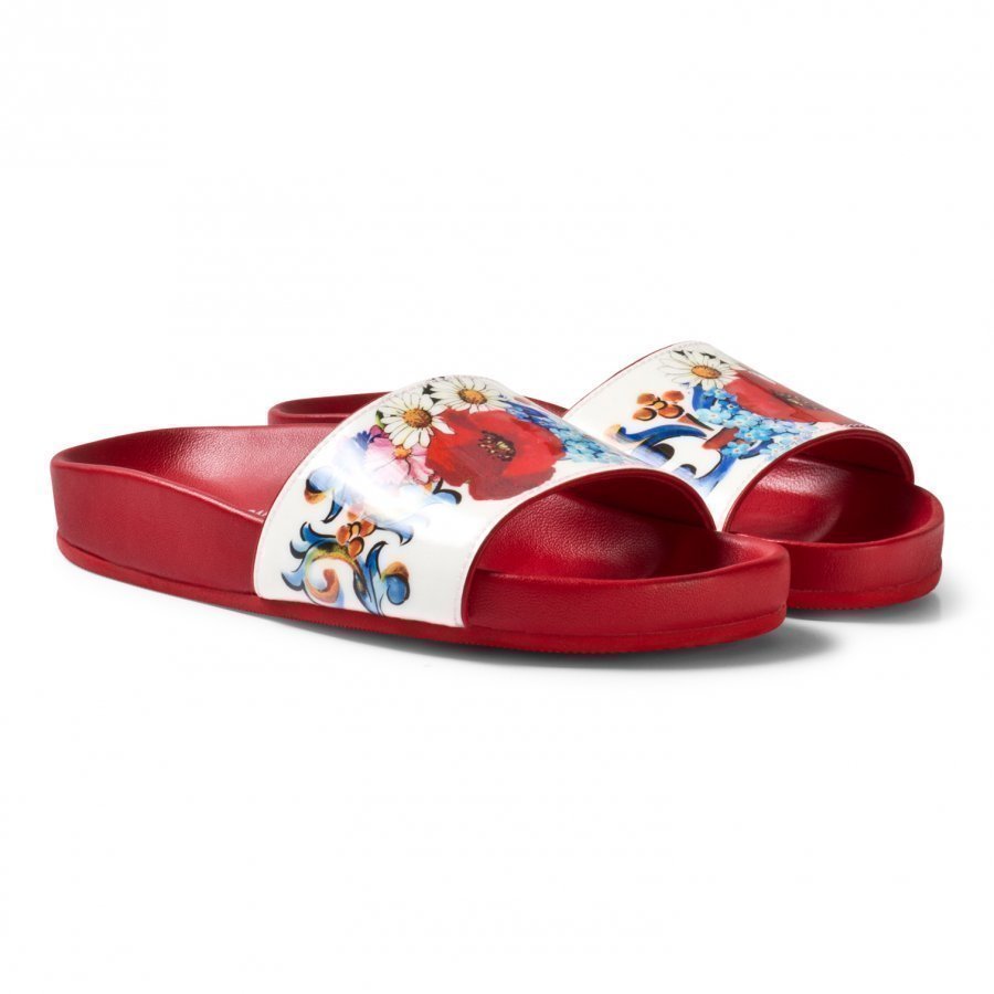 Dolce & Gabbana Pink And Floral Slides Slip On Sandaalit