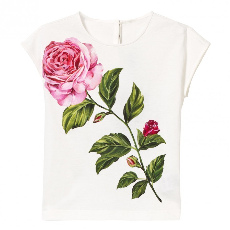 Dolce & Gabbana White Rose Embroidered And Print Tee T-Paita