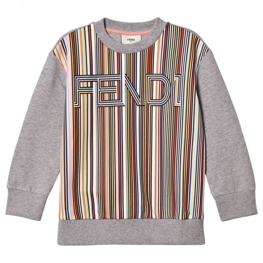 Fendi Grey Multi Stripe Branded Sweatshirt Oloasun Paita