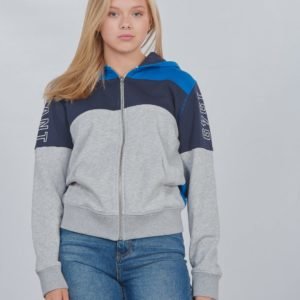 Gant D1. Gant Col Block Full Zip Hoodie Huppari Harmaa