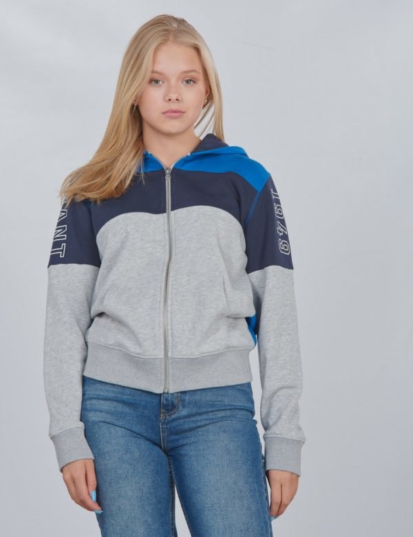 Gant D1. Gant Col Block Full Zip Hoodie Huppari Harmaa