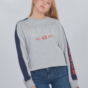 Gant D1. Gant Color Block C Neck Sweat Neule Harmaa