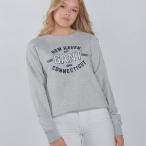 Gant Gant Logo C Neck Sweat Neule Harmaa