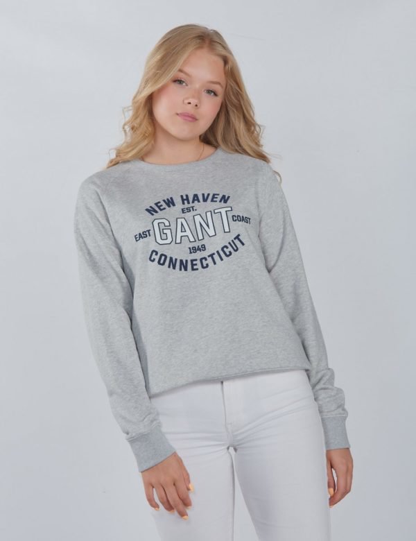 Gant Gant Logo C Neck Sweat Neule Harmaa