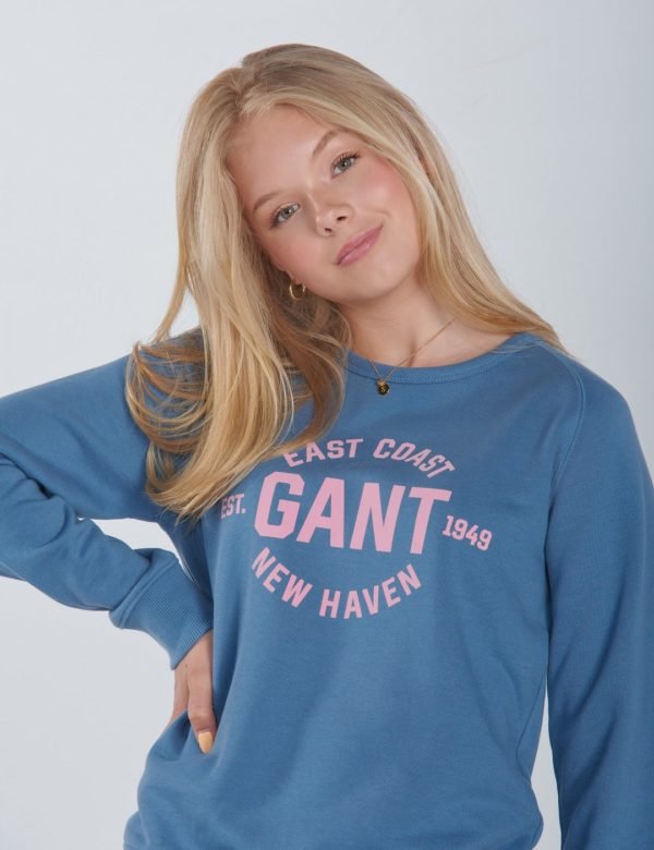 Gant Gant Logo C Neck Sweat Neule Sininen