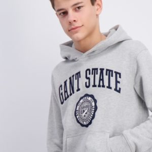 Gant Gant Varsity Sweat Hoodie Huppari Harmaa