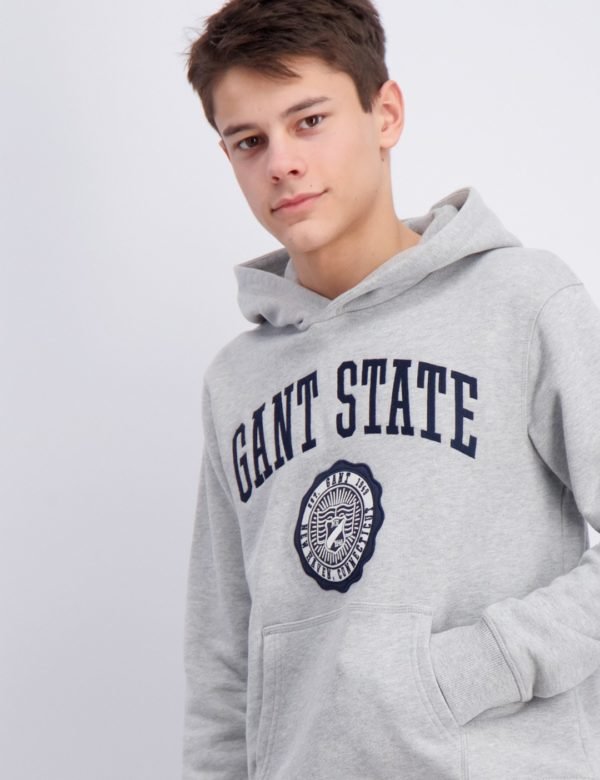 Gant Gant Varsity Sweat Hoodie Huppari Harmaa