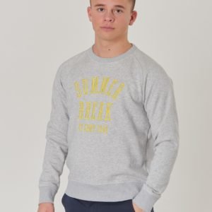 Gant Tb Summer Logo C Neck Sweat Neule Harmaa