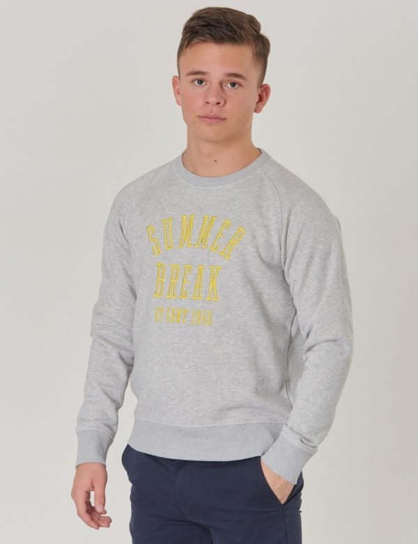 Gant Tb Summer Logo C Neck Sweat Neule Harmaa