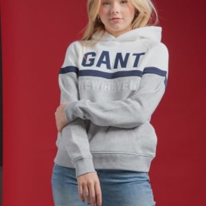 Gant Three Colors Sweat Hoodie Huppari Harmaa