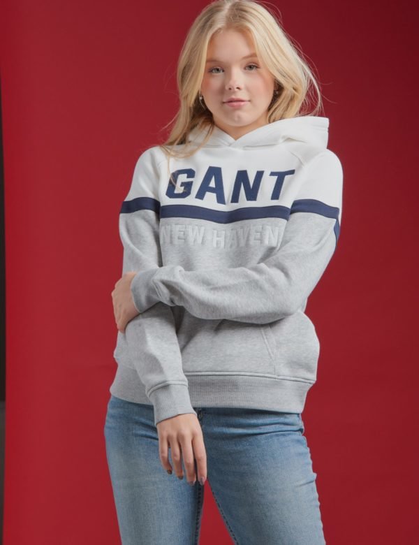 Gant Three Colors Sweat Hoodie Huppari Harmaa