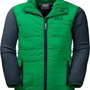 Jack Wolfskin Glen Dale Kids Fleecetakki Vihreä