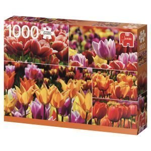 Jumbo Holland Tulips 1000 Palaa