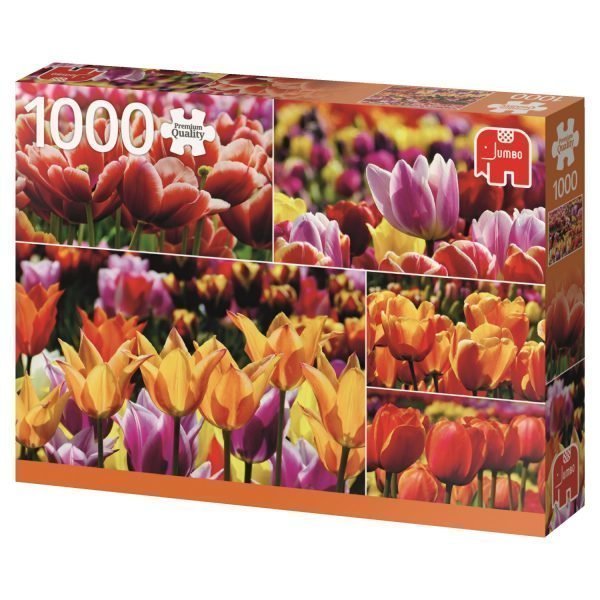 Jumbo Holland Tulips 1000 Palaa