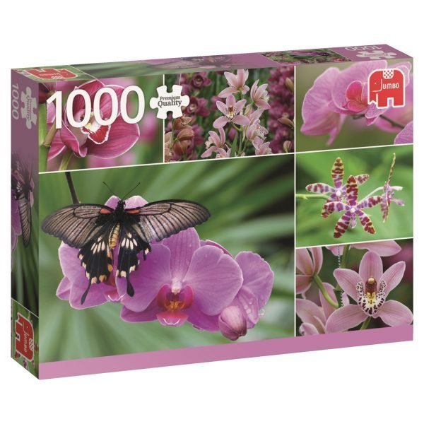 Jumbo Orchids 1000 Palaa