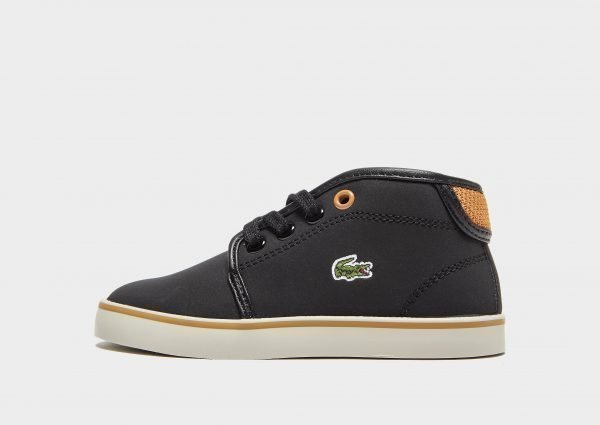 Lacoste Ampthill Infant Musta