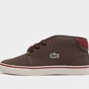 Lacoste Ampthill Ruskea