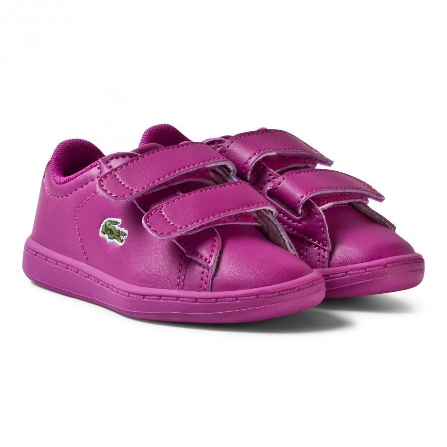 Lacoste Carnaby Evo 317 5 Spi Trainers Pink Lenkkarit