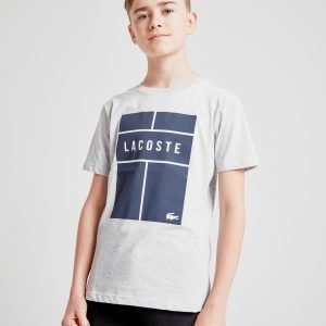 Lacoste Croc Box T-Shirt Harmaa