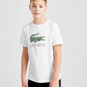 Lacoste Croc T-Paita Valkoinen