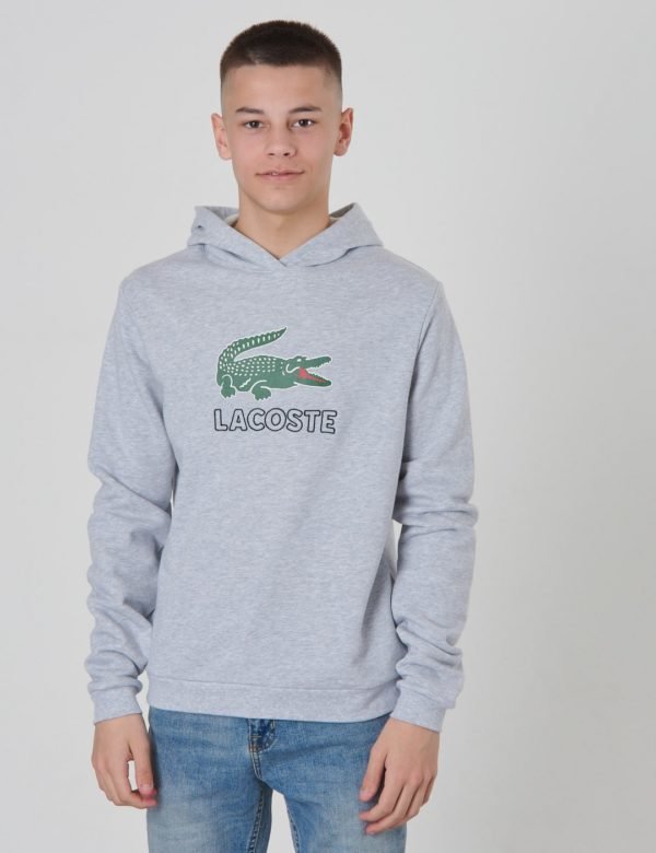 Lacoste Hoodie Huppari Harmaa