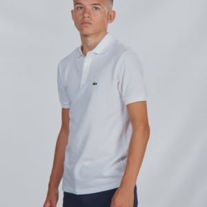 Lacoste Polos Pikee Valkoinen