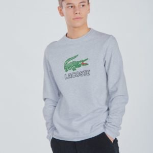 Lacoste Sweatshirt Neule Harmaa