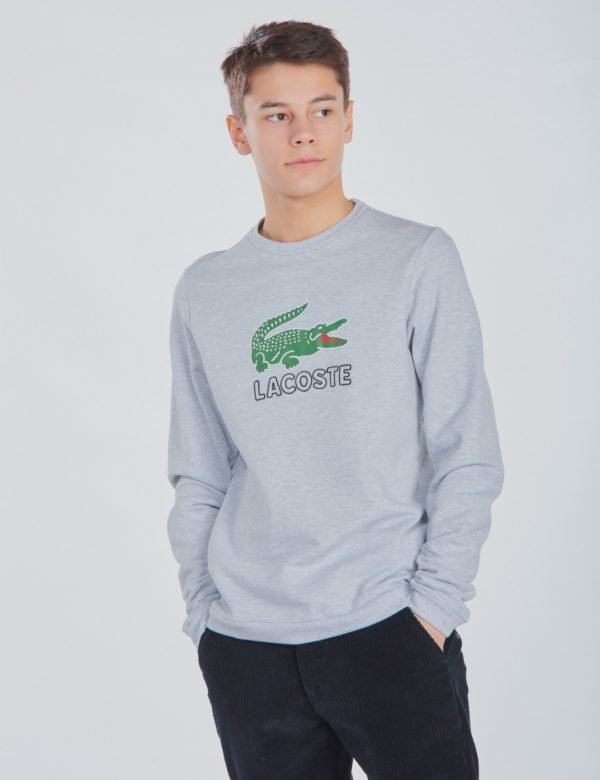 Lacoste Sweatshirt Neule Harmaa