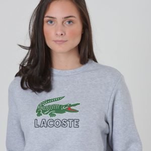 Lacoste Sweatshirt Neule Harmaa