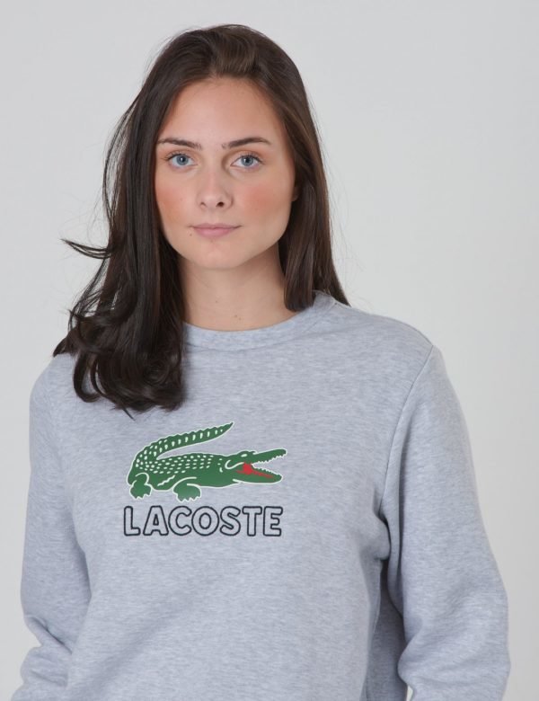 Lacoste Sweatshirt Neule Harmaa