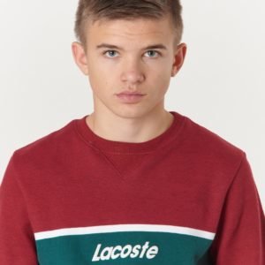 Lacoste Sweatshirt Neule Sininen