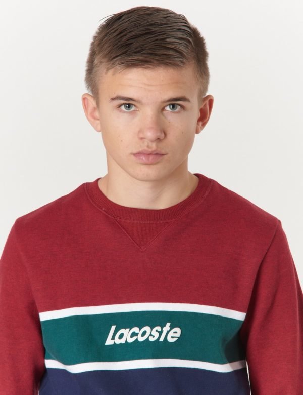 Lacoste Sweatshirt Neule Sininen