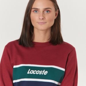 Lacoste Sweatshirt Neule Sininen