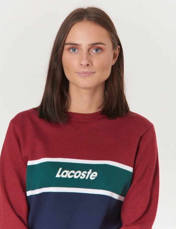 Lacoste Sweatshirt Neule Sininen