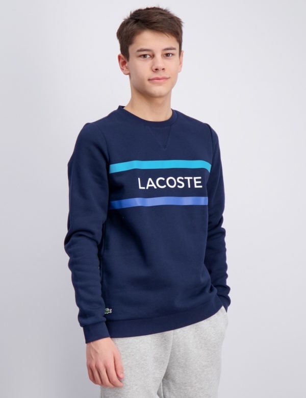 Lacoste Sweatshirt Neule Sininen