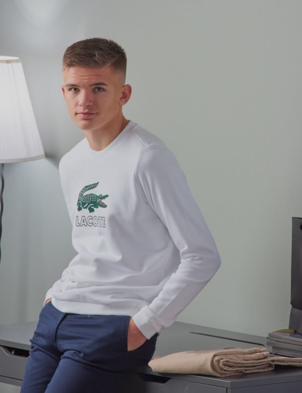 Lacoste Sweatshirt Neule Valkoinen